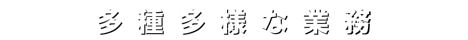ダイバーシティー